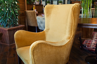 Кресло Девис Дуо