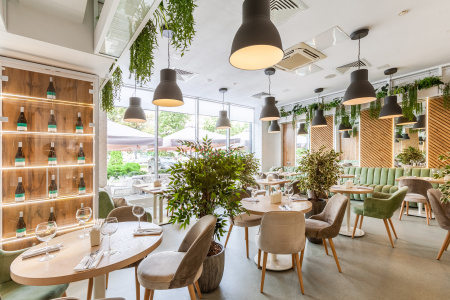 картинка Стул Дзен Про от компании CORSASTYLE